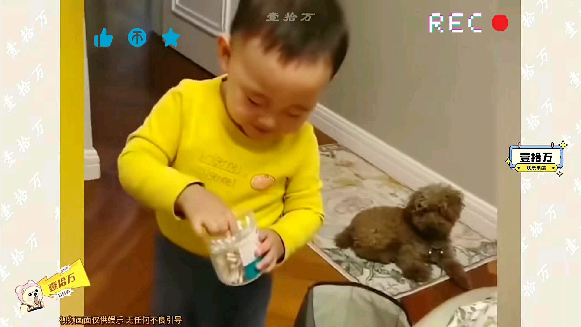 搞笑视频