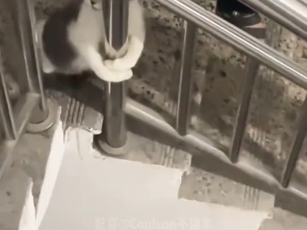 搞笑视频