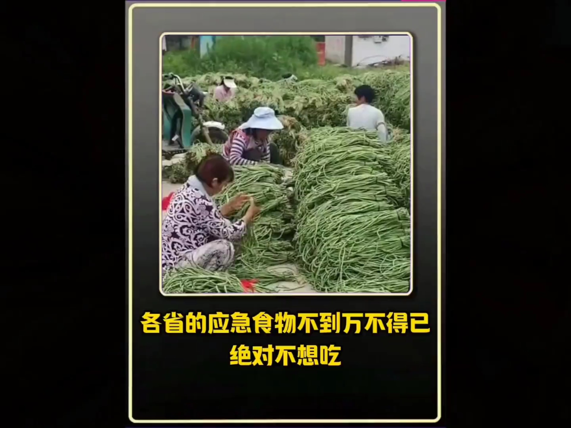 原来每个省都有自己的应急...