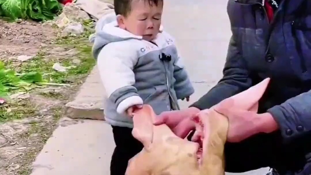 小朋友宝宝爱看的搞笑视频...