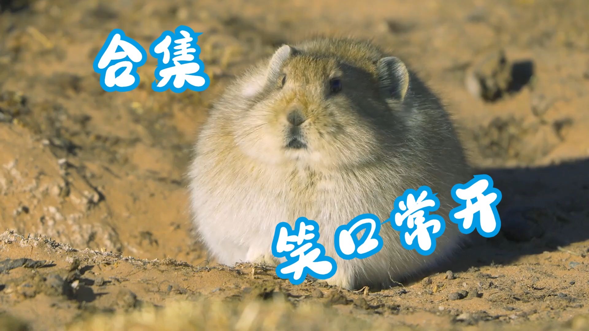 反其道而行之，将近1小时...