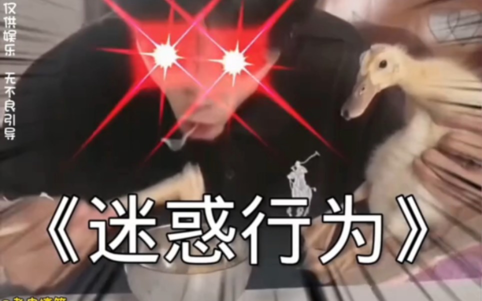 盘点那些满级人类搞笑视频