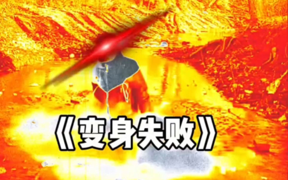 盘点那些满级人类搞笑视频