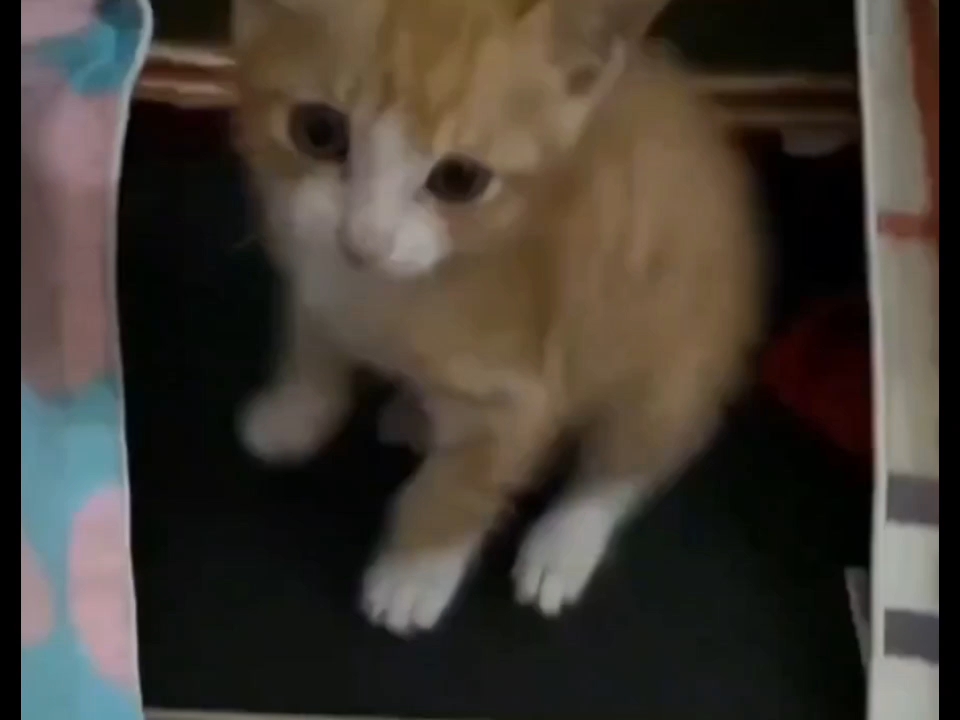 【每天搬砖的人】更新啦，...