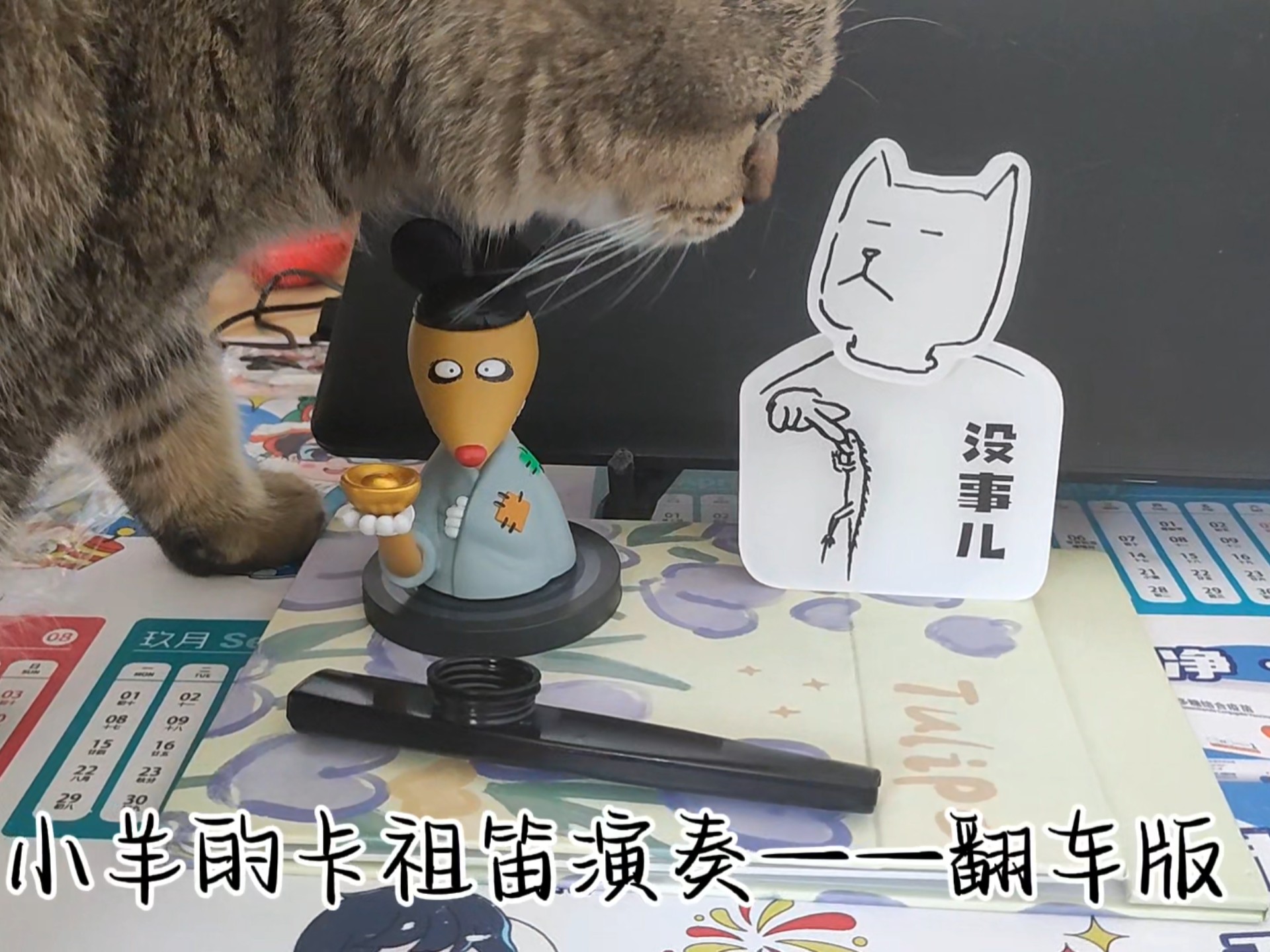 一个搞笑视频——小羊和猫...