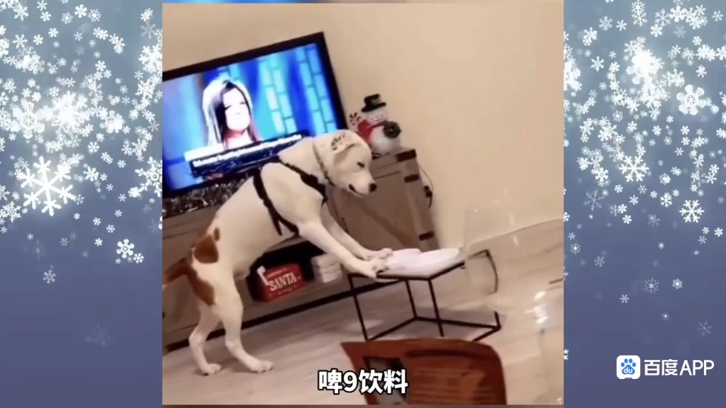 搞笑视频