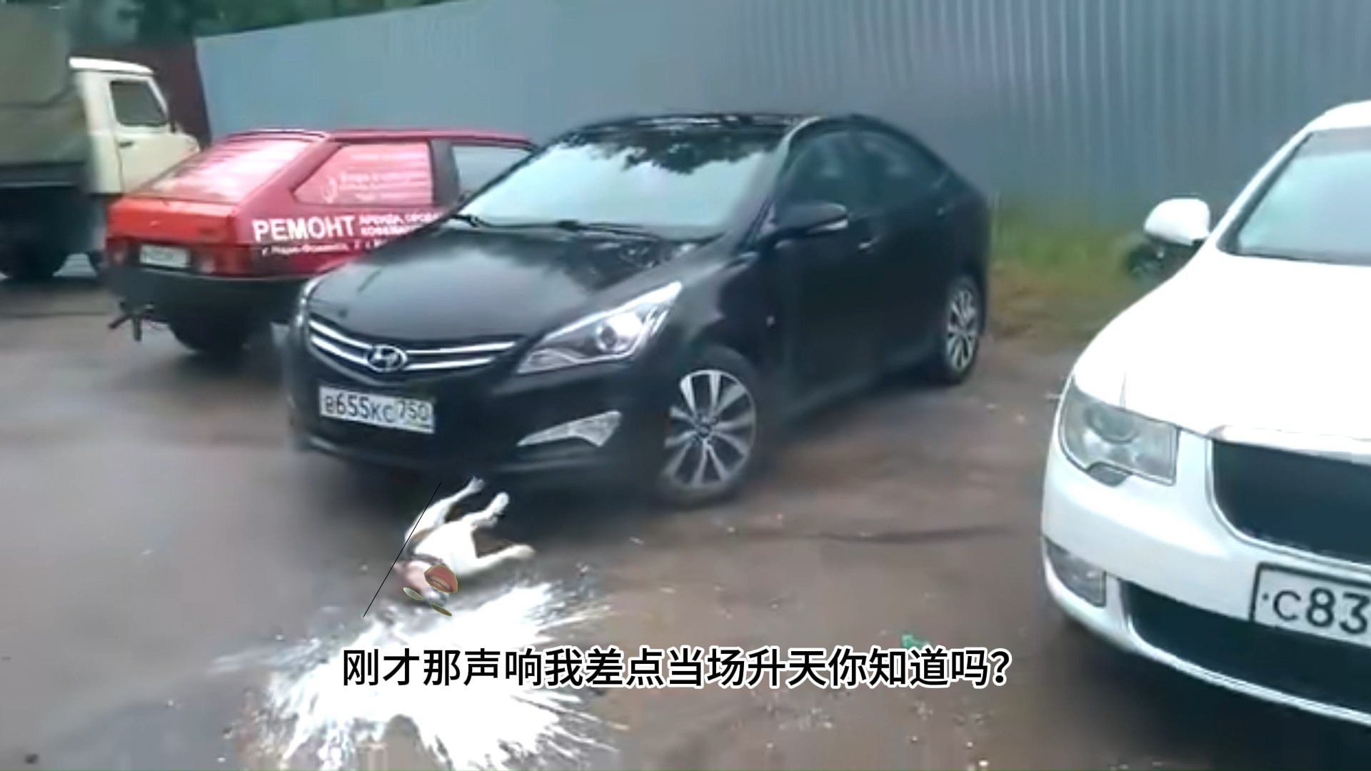 我这辈子也算直了