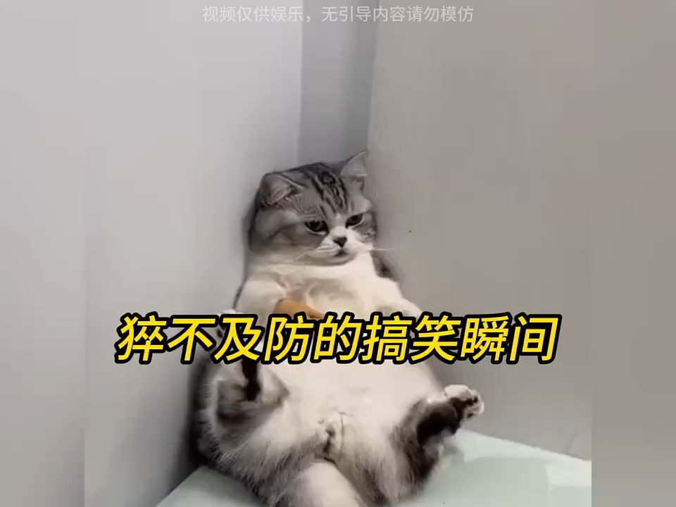 各单位注意，我来收功德了...