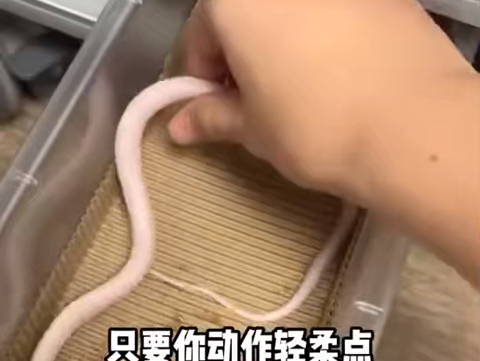 第一支视频求三连！