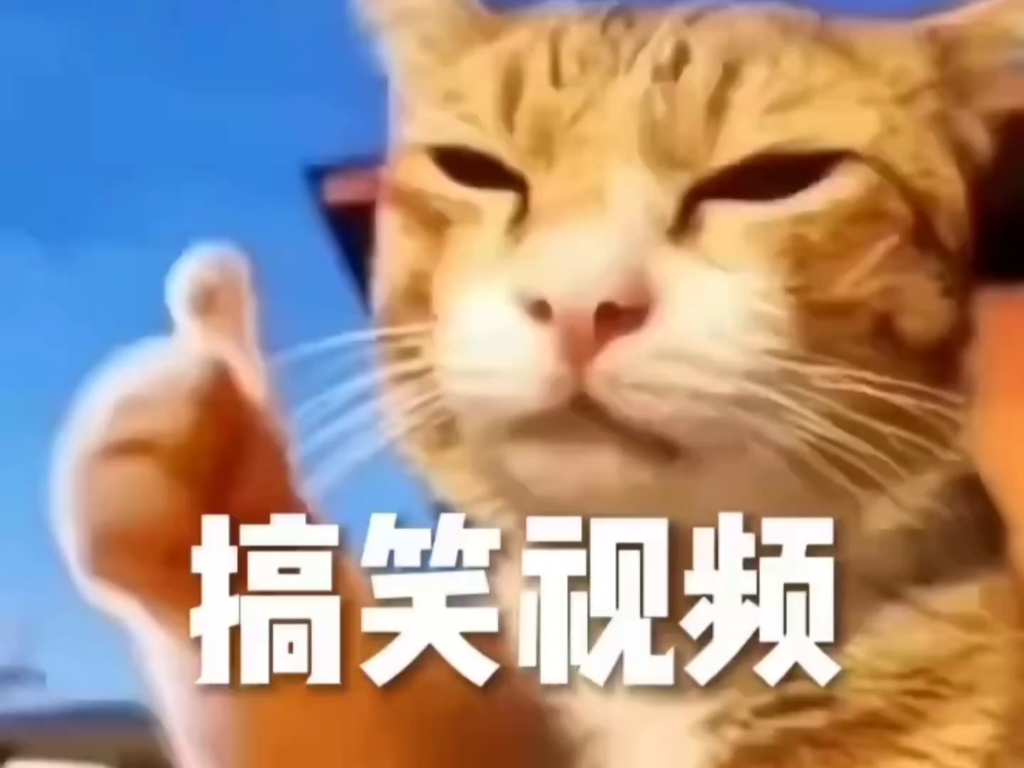 搞笑视频