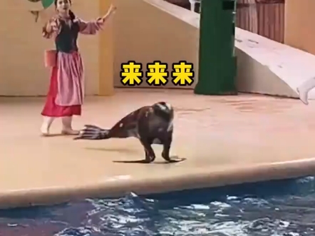 搞笑视频