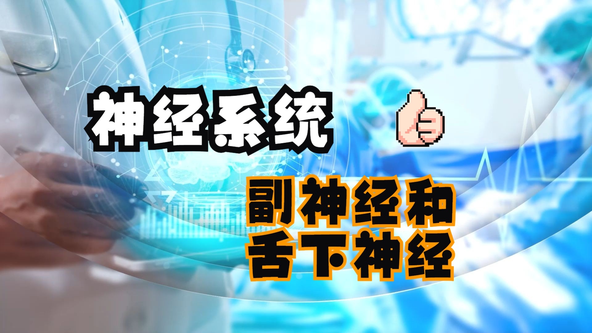 [微课视频]神经系统—副...