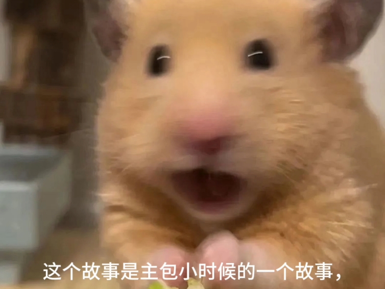 【鲲困动漫】最新视频上线...