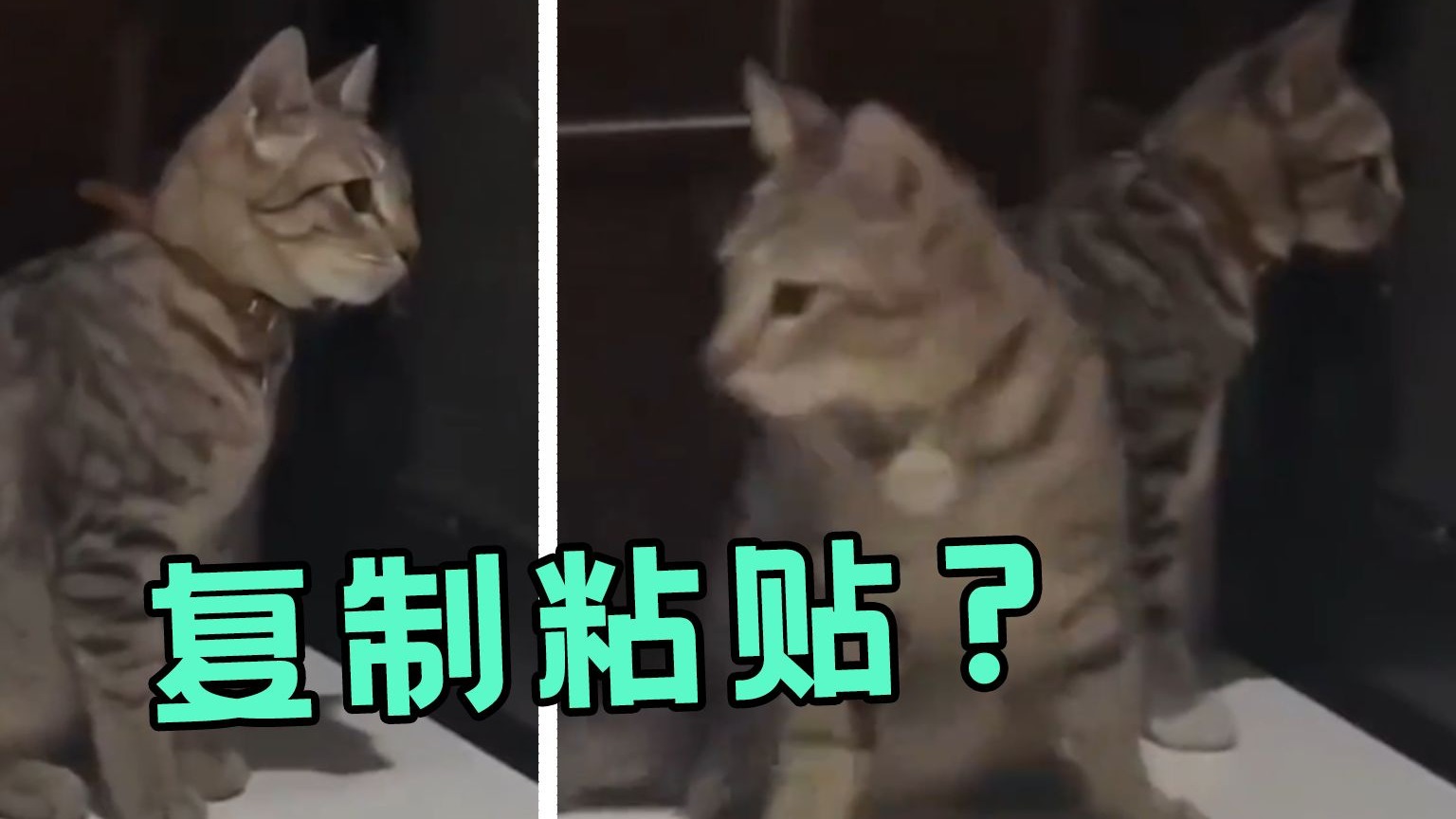完了，我要被这视频笑死了...