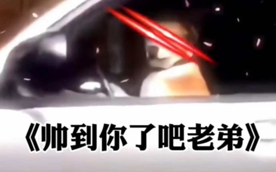 盘点那些满级动物搞笑视频...