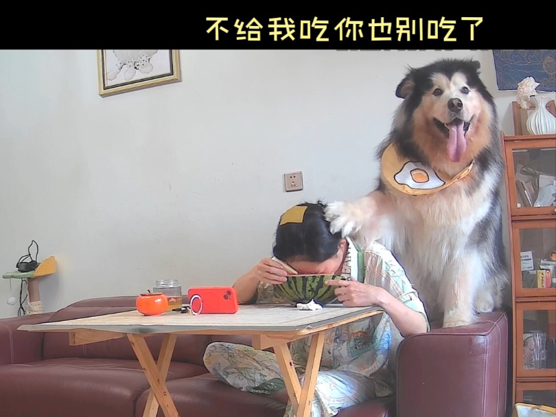 🐶：不给我吃你也别吃了