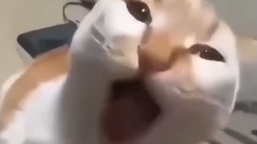 一天不看浑身难受系列！趣...