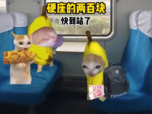 搞笑视频 -----你的...