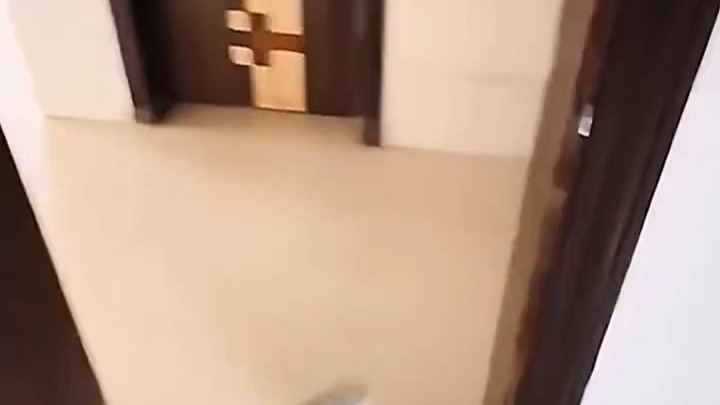 搞笑视频