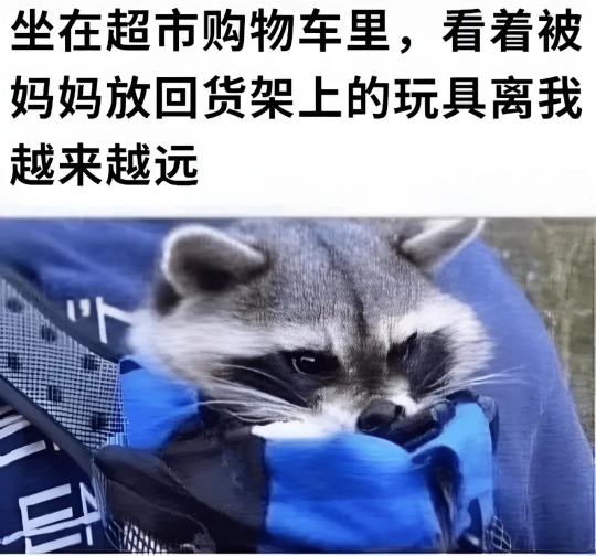 无比真实的人类写照487