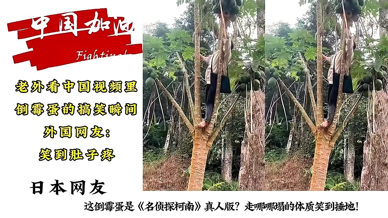 老外看中国 视频里倒霉 ...