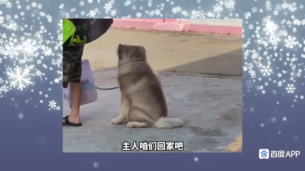 搞笑视频
