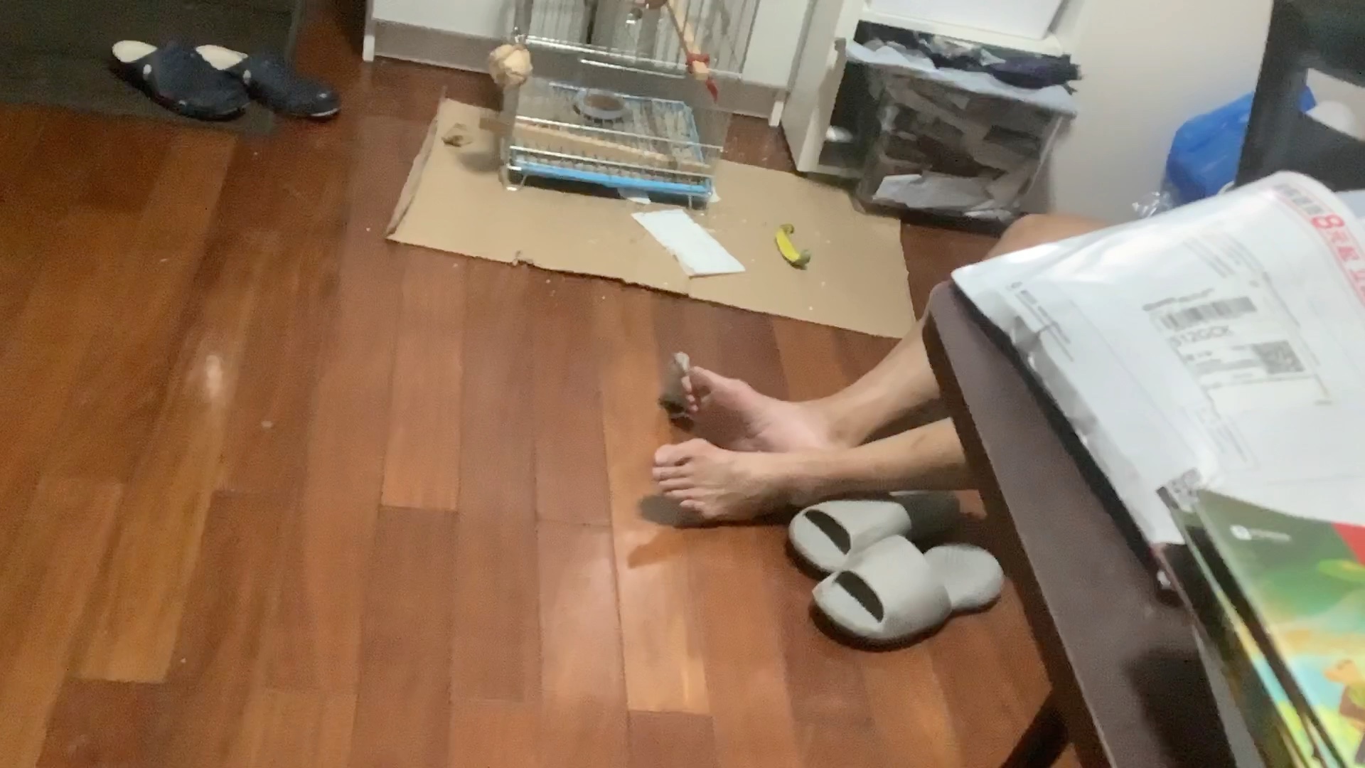 今日份搞笑视频