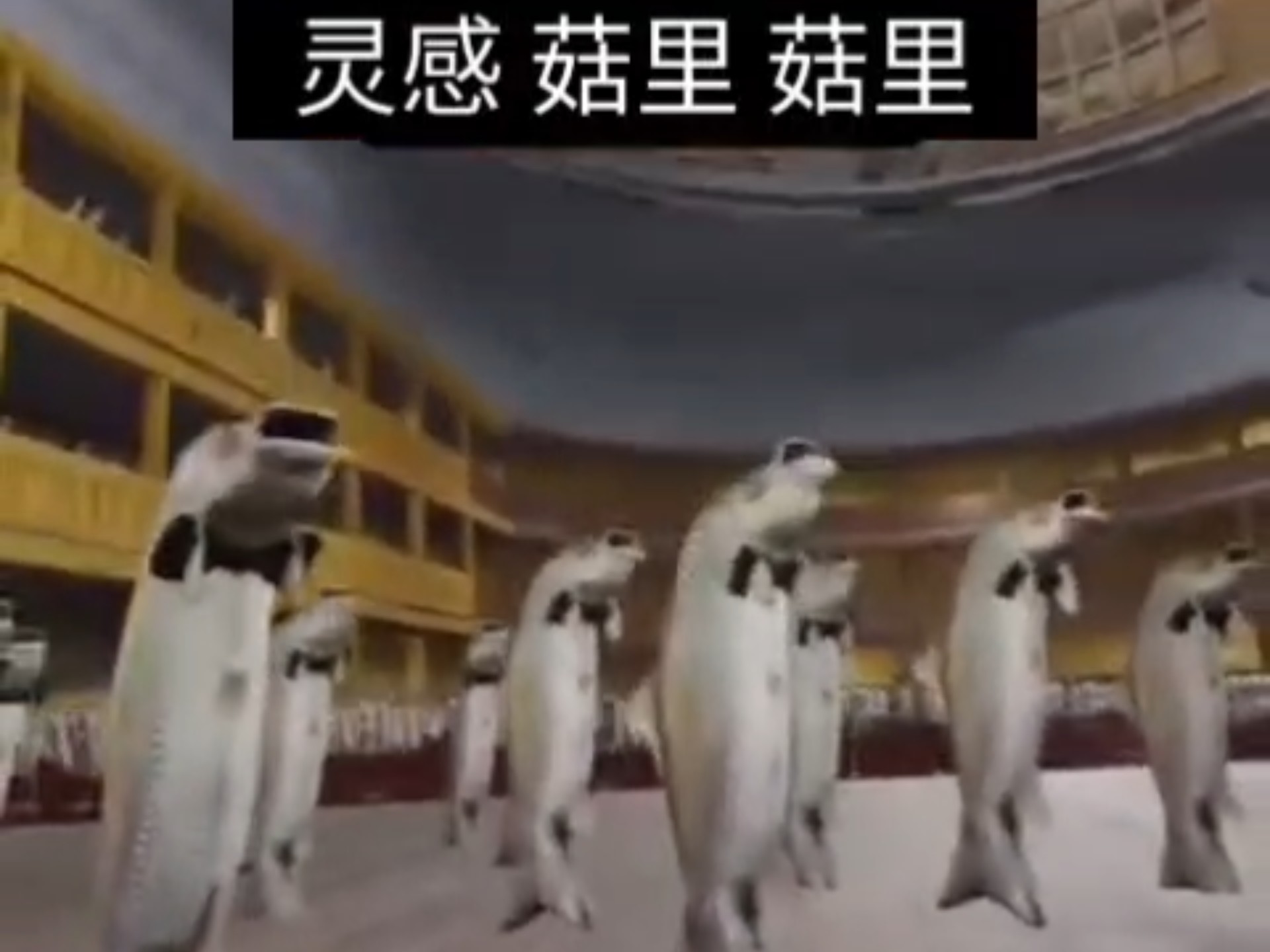 我找到goodfnd唱灵...