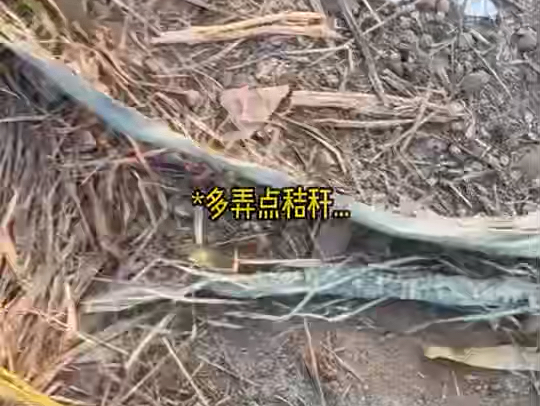 第一支视频求三连！