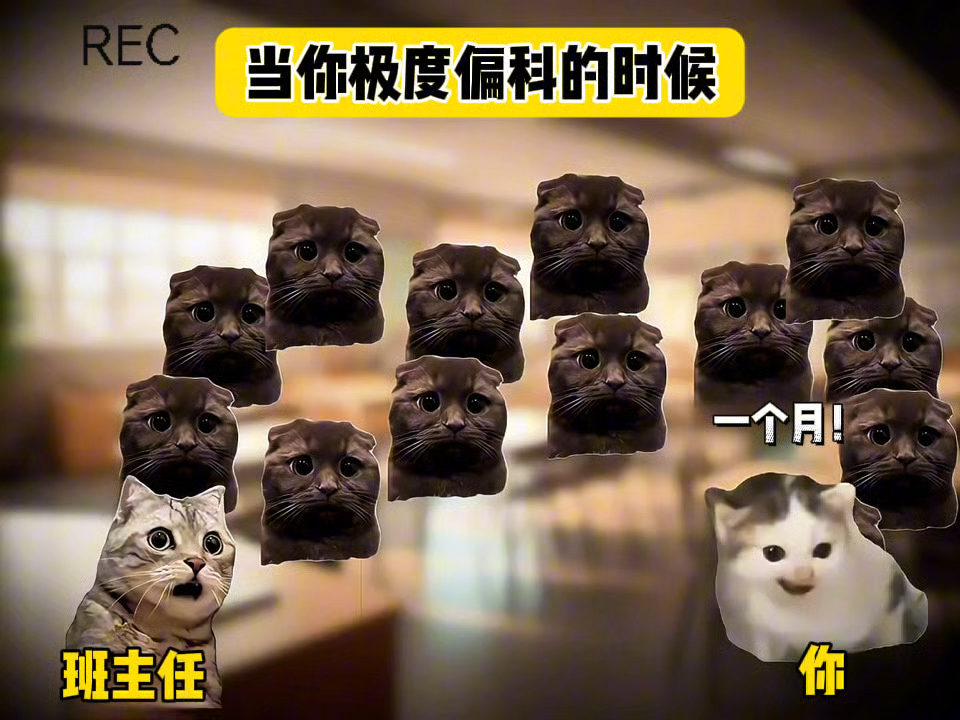【芷瑜猫meme】最新视...