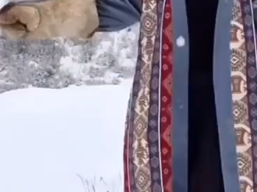 搞笑视频经典力学和佛法几...