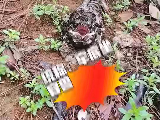 【魏亮iw80】第一支视...