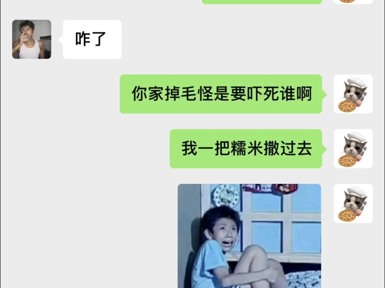 猫：拜了就不能吓我了嗷#...