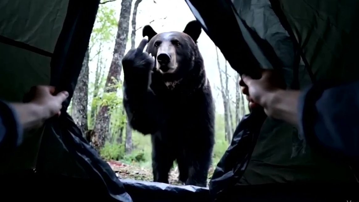 🐻🖕🏿
