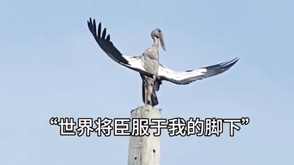 “彼养得功德”