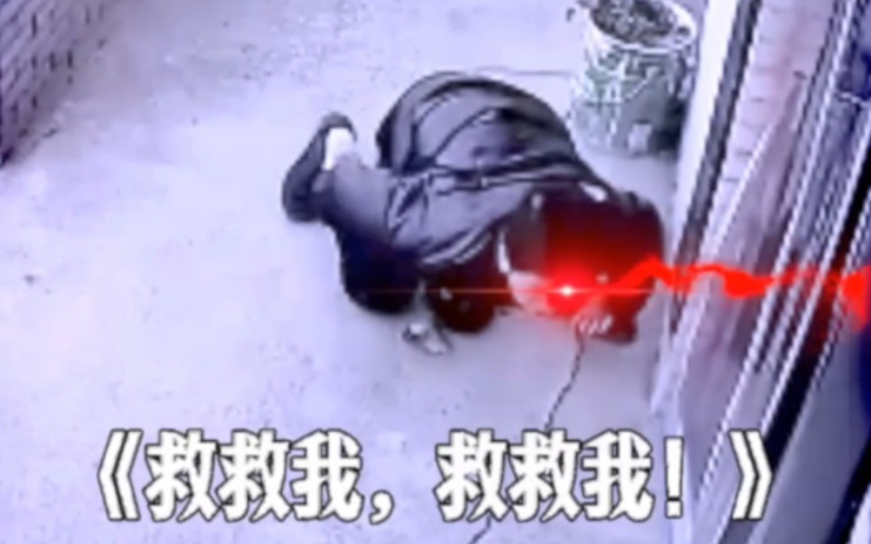 盘点那些满级人类搞笑视频