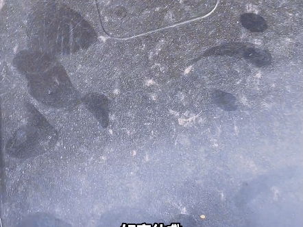 【三沟搞笑配音】视频加载...