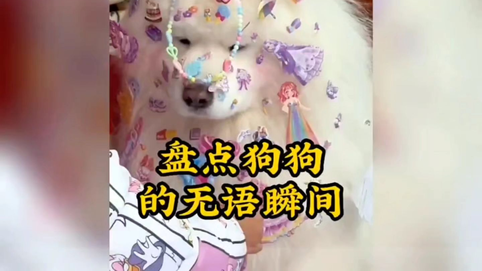 盘点狗狗的无语瞬间，这辈...