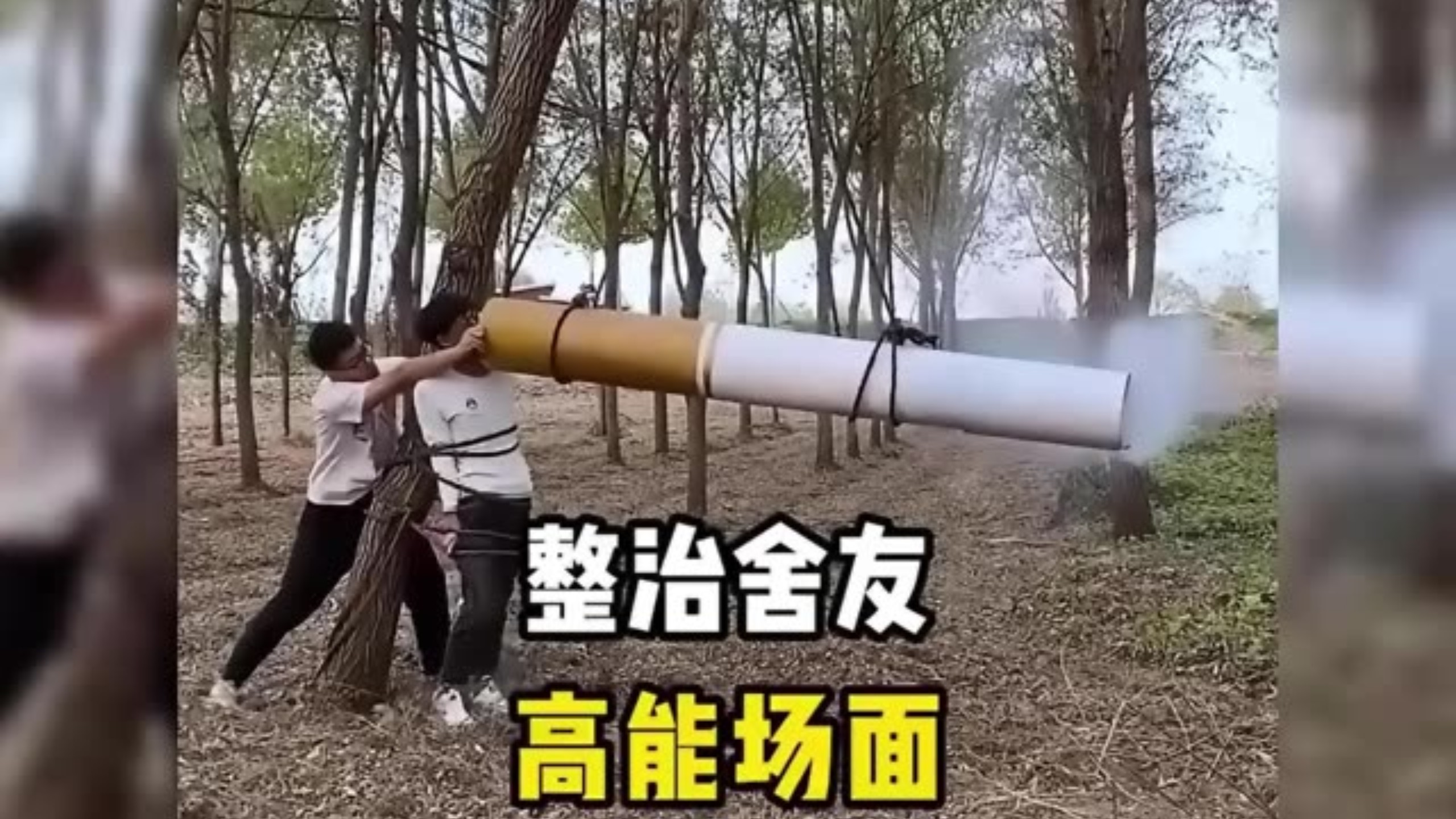 ⚡ 今日份快乐源泉 ⚡ ...