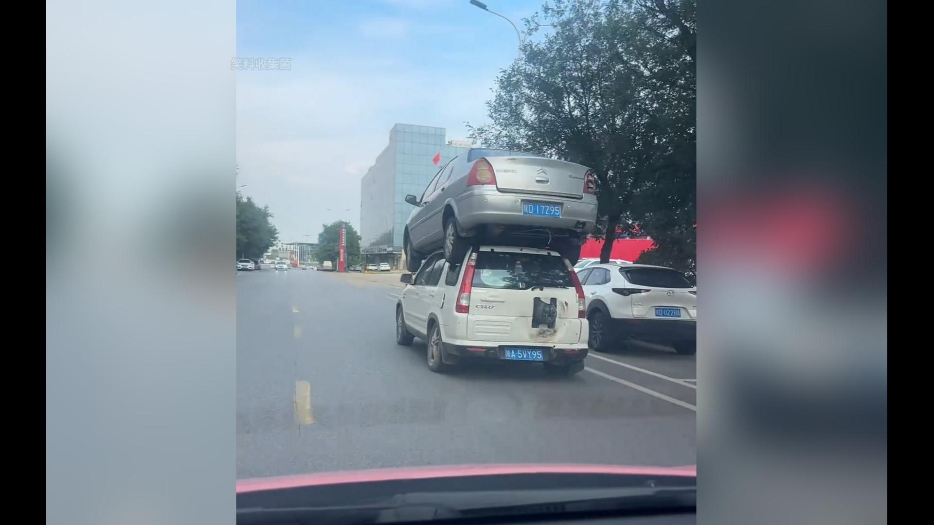 完了，今天的功德又笑没了...