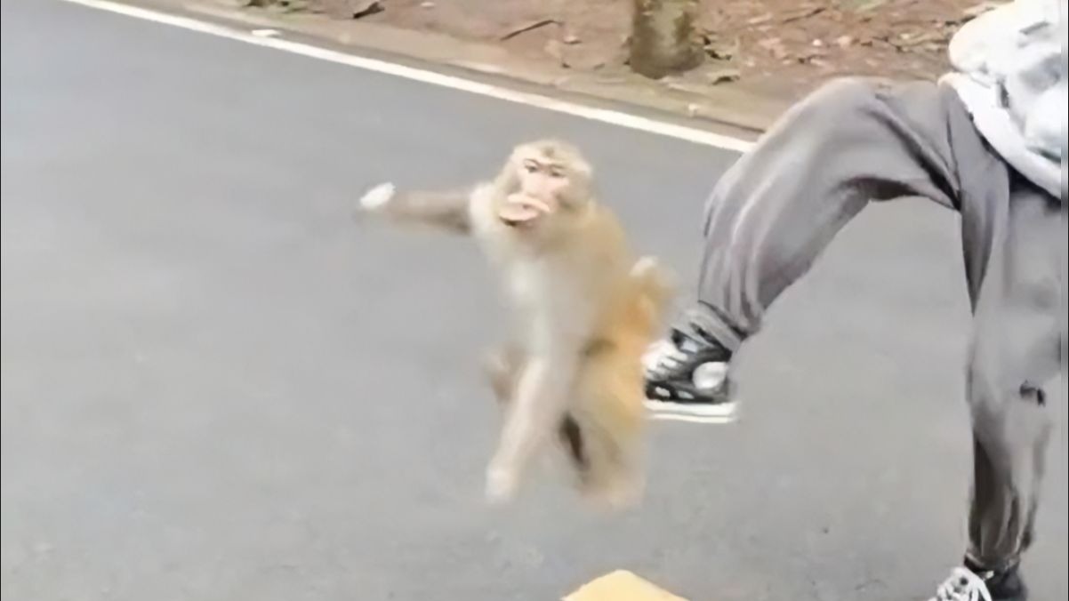 看一次笑一次！
