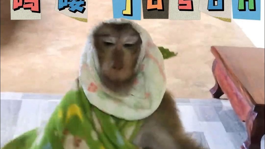 吗喽jason你这家伙，...