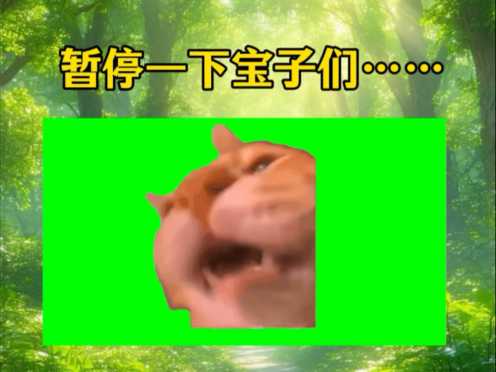 【欣欣猫me】更新了一条...