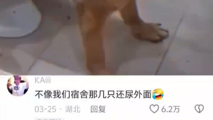 #搞笑视频 #网友神评