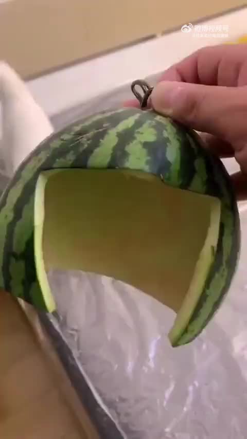 美好的一天，从沙雕猫猫视...