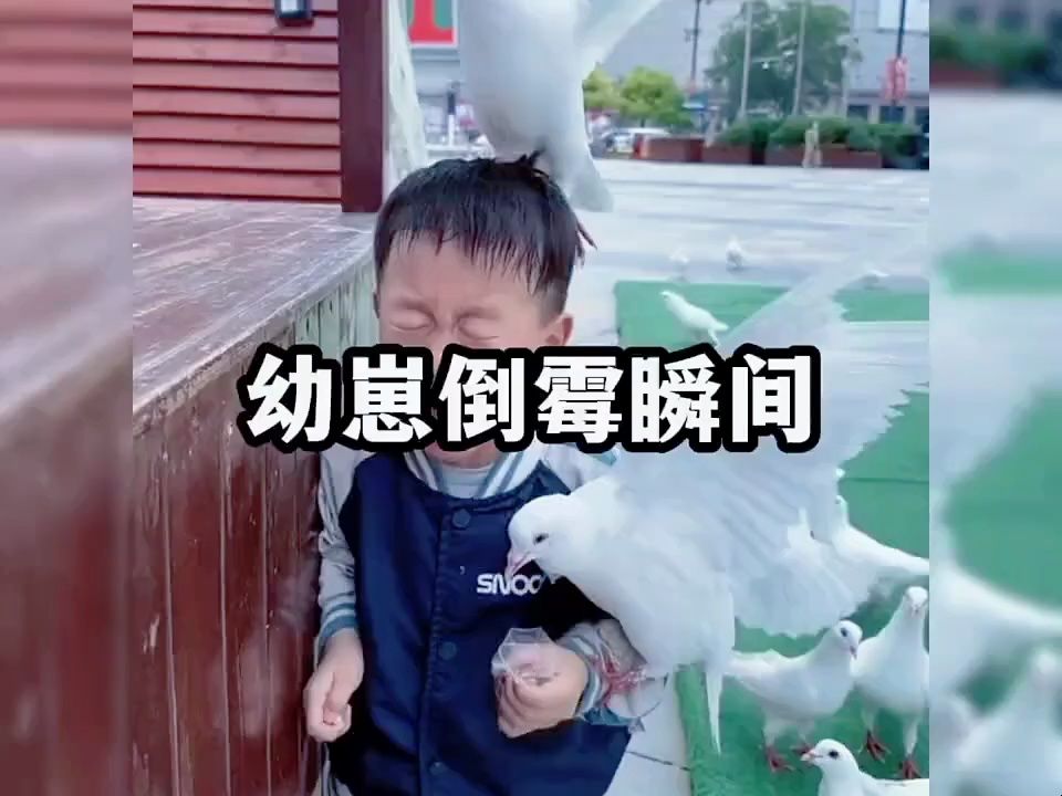 人类幼崽倒霉瞬间，哈哈哈...