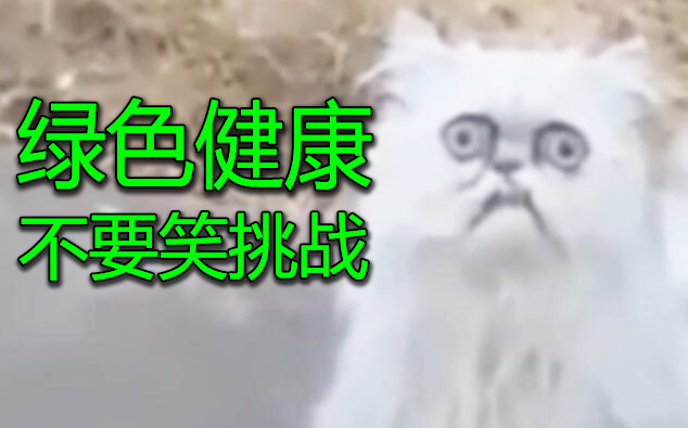 【不要笑挑战】绿色健康小...