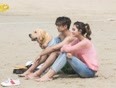 神犬小七精彩片段